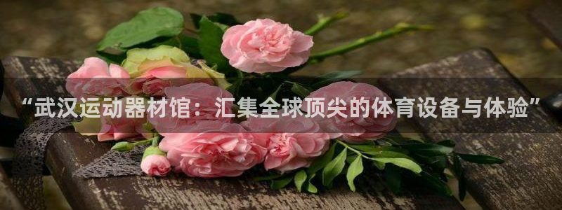 熊猫体育官网下载娱乐