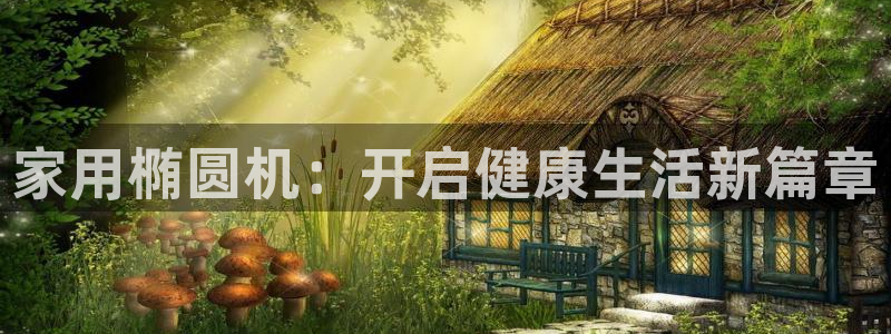 熊猫体育科技:家用椭圆机:开启健康生活新篇章