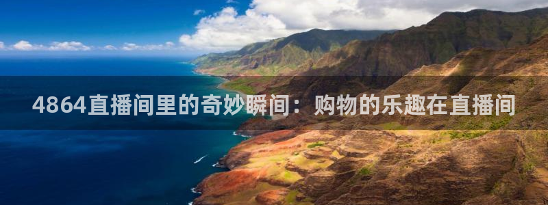 绿茵直播足球：4864直播间里的奇妙瞬间：购物的乐趣在直播间