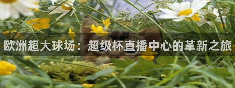 足球之绿茵球王：欧洲超大球场：超级杯直播中心的革新之旅