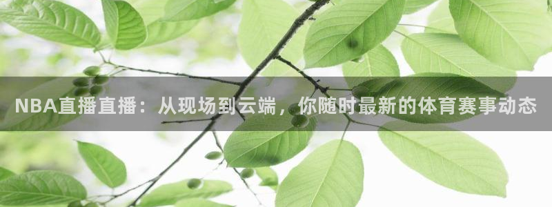 绿茵体育直播间：NBA直播直播：从现场到云端，你随时最新的体育赛事动态