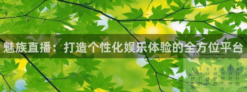 绿茵体育live直播：魅族直播：打造个性化娱乐体验的全方位平台