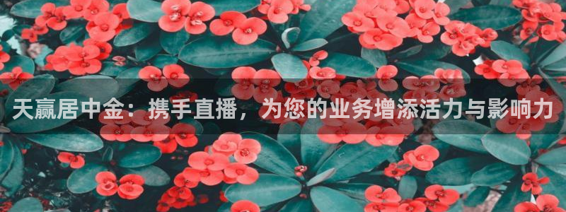 绿茵体育在线观看：天赢居中金：携手直播，为您的业务增添活力与影响力