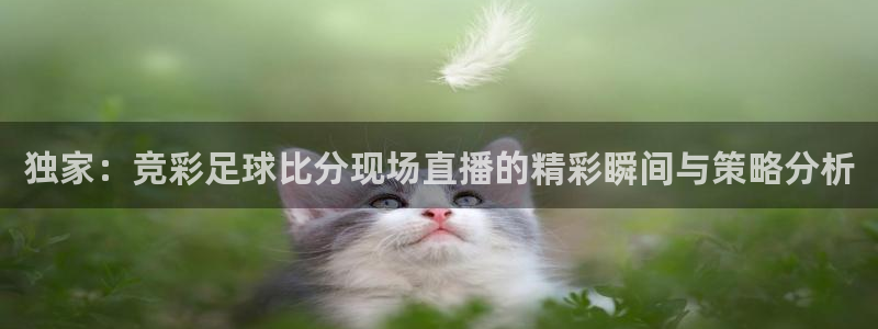 绿茵足球：独家：竞彩足球比分现场直播的精彩瞬间与策略分析