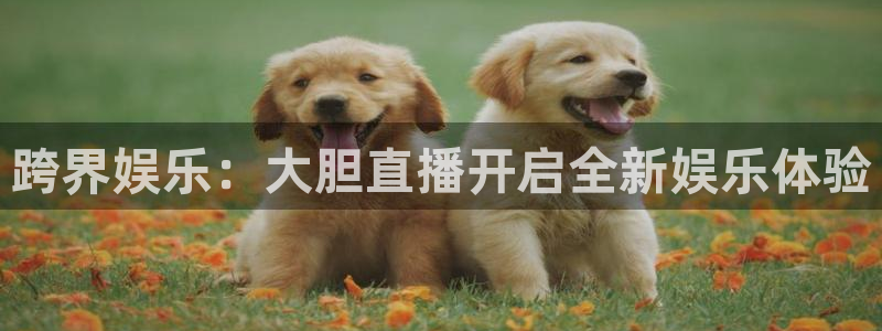 绿茵直播免费看球直播：跨界娱乐：大胆直播开启全新娱乐体验