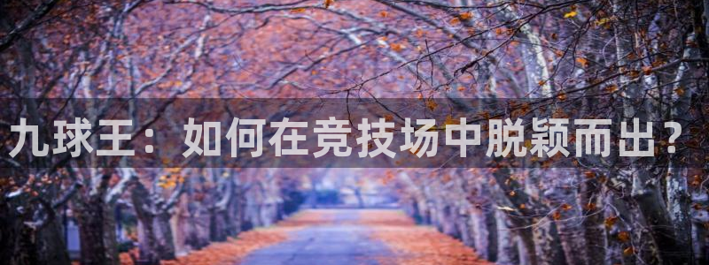 绿茵直播下载：九球王：如何在竞技场中脱颖而出？